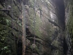 -梦幻奥陶纪景区