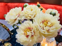 -花隐·美芙炫海菲秀皮肤管理中心