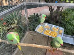 -大连森林动物园