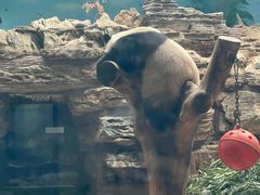 -石家庄市动物园