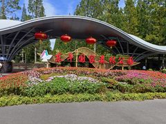 -东平国家森林公园