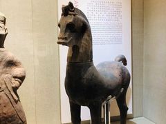 -乐山市博物馆