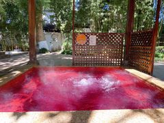 -春晖园度假酒店温泉