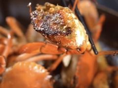 -莲花公园煎蟹(总店)