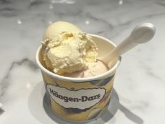 -哈根达斯(世界城店)