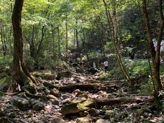 -白云源风景区