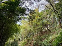 -分塔山省级森林公园
