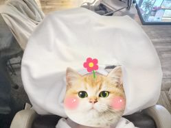 -丝域养发馆