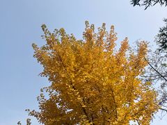 -石门坊