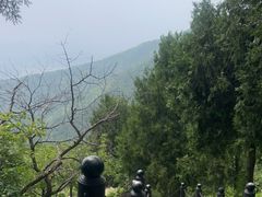 -北京十三陵国家森林公园蟒山景区