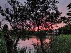 -新荣记(西溪湿地店)