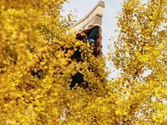 -四川大学(华西校区)