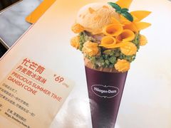 芒个球丹麦筒冰淇淋-哈根达斯(钟楼新店)