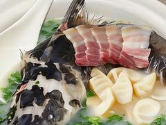 -圆苑(兴国路店)