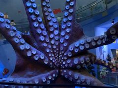 -长春中泰海洋世界