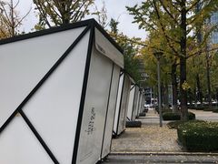 -百林公园-两江幸福广场