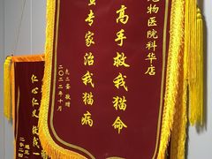 -半岛宠物医院24小时(科华中路店)