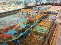 -望海湾鱼头泡饼·天津菜(空港店)