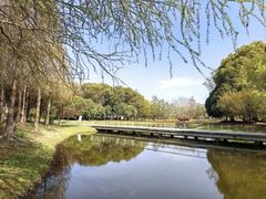 -同里国家湿地公园