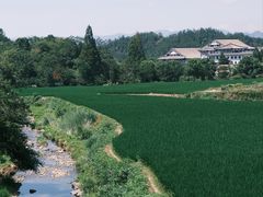 -天台山景区