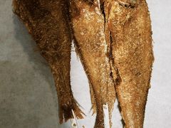 -郑喜旺烧烤(政通路店)