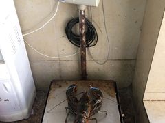 -江杨农产品批发市场