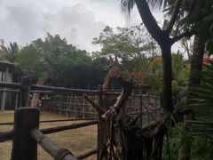 -三亚千古情景区