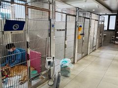 -北京派仕佳德动物医院·超导核磁·CT·神经科·骨科·内外科·急重症管理中心