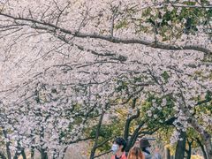 -玛格萝妮比萨屋(四平店)