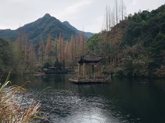 -天明山温泉大酒店