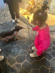 -Zoolung Zoolung动物主题公园(海信广场店)