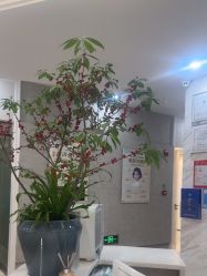-深圳鹏爱秀琪医疗美容医院