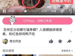 -八0一首创霍老七老螺蛳(万东镇龙景园店)