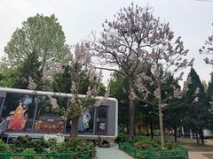 -太阳宫公园