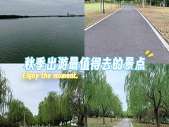 -金银湖国家城市湿地公园