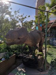 -萌宠亲子动物乐园(槐房万达店)