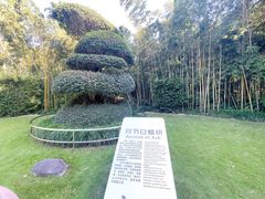 -苏州河梦清园环保主题公园