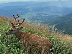 -萍乡武功山风景名胜区