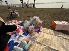 -漕湖湿地公园