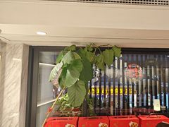 -李清佛跳墙|福建省十大名厨之首(后江埭店)