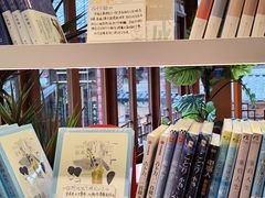 -猫的天空之城概念书店(丽江古城饮玉巷店)