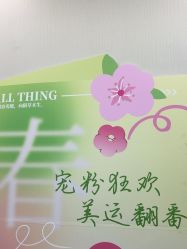 -凡碧诗毛孔清洁收细