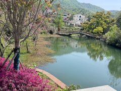 -横岗山森林公园