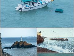 -福如东海文化园