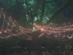 -通安客栈中餐厅·何家小馆