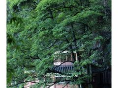 -蜀南竹海景区