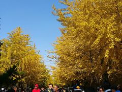 -辽宁大学(崇山校区)