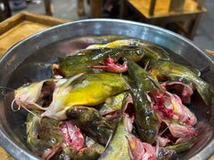 梭边鱼-肖肖酸萝卜鱼火锅(总店)