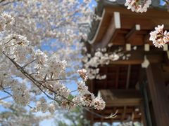 -醍醐寺
