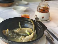 砂锅蒸黄花鱼-悦景酒家(罗湖店)